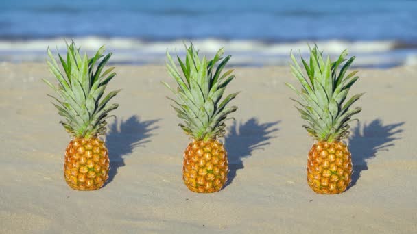 Tre ananas sulla sabbia del mare — Video Stock