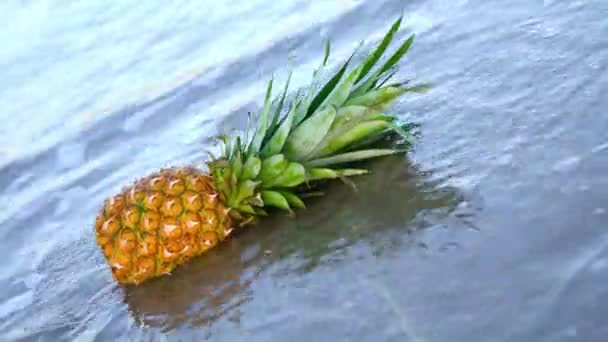 おいしいパイナップルは海の水に浸かっている — ストック動画