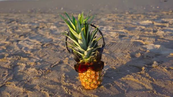 Casques et lunettes portés sur un ananas sur la plage — Video