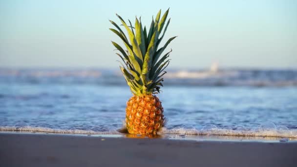 Powolny ruch wody na plaży i ananas — Wideo stockowe