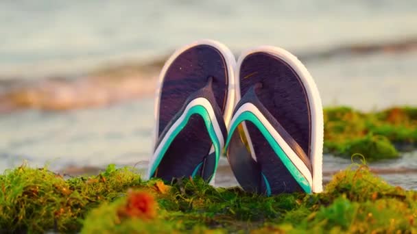 Gröna alger på havet med flip-flops i mitten — Stockvideo