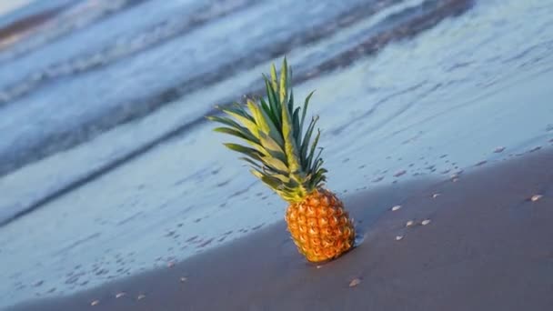 Deniz ağır çekimde kaplanır kumdaki bir ananas — Stok video