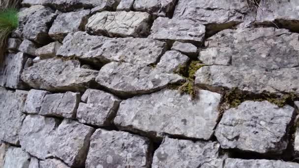 Un muro de piedra entre la naturaleza — Vídeos de Stock