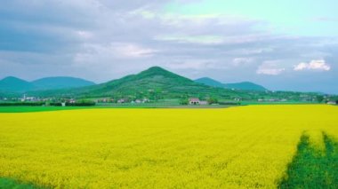 Padua 'nın Euganean Tepeleri