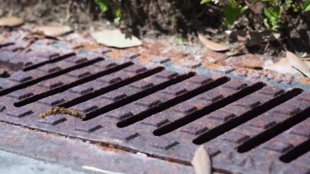 Sliding along metal drain manhole — Stock Video