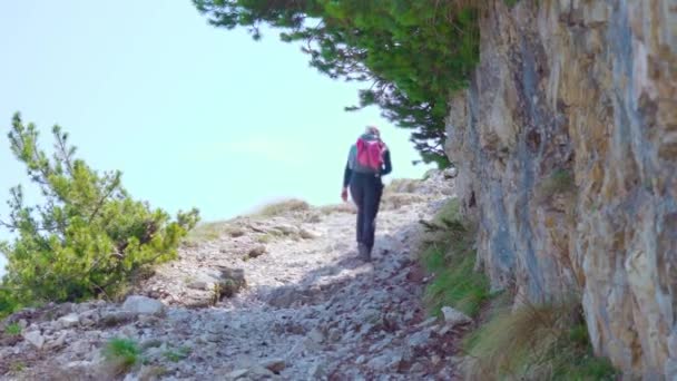 女の子は岩の山の中を歩く — ストック動画