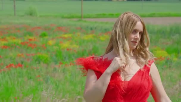 Elegant woman moves in front of the red field of poppies — Stock Video