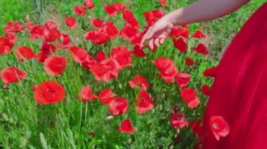 Kızlar yeşil alanda gelinciklere dokunur.