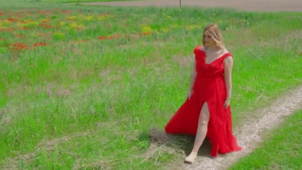 Красивая женщина в красном платье прогулки по зеленой траве — стоковое видео