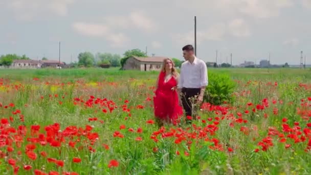 Twee elegant geklede vriendjes lopen op het gebied van rode klaprozen — Stockvideo