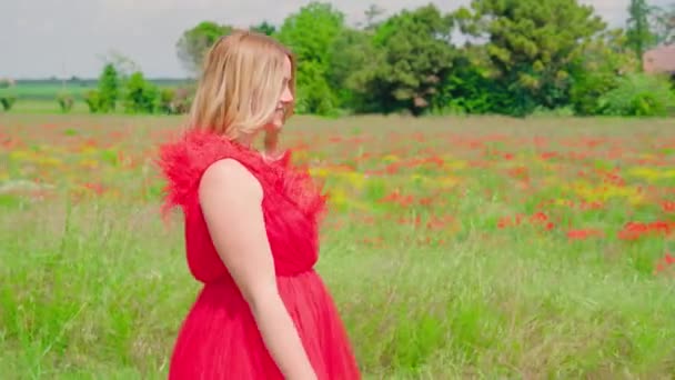 Копии влюбленных встречаются на поле красных пионов — стоковое видео