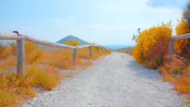 Bela trilha cênica nas colinas com grama laranja — Vídeo de Stock