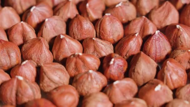 Tumpukan hazelnut lezat yang berputar — Stok Video