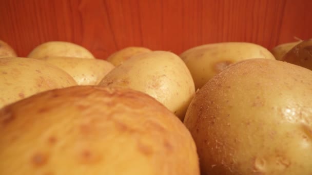 Whole raw potatoes on the wooden table — Stock Video