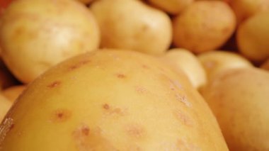 Bir yığın çiğ patates.