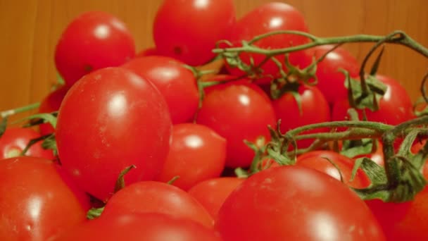 Pico de pequenos tomates na mesa — Vídeo de Stock