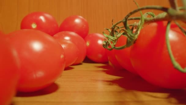 Verplaatsing tussen rode tomaten op tafel — Stockvideo