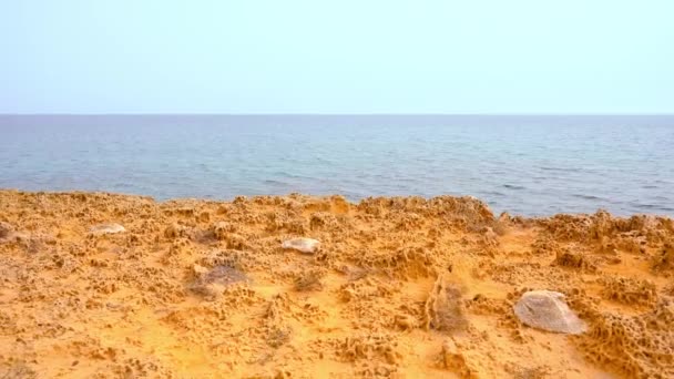 Koraalrif fossiel aan zee — Stockvideo