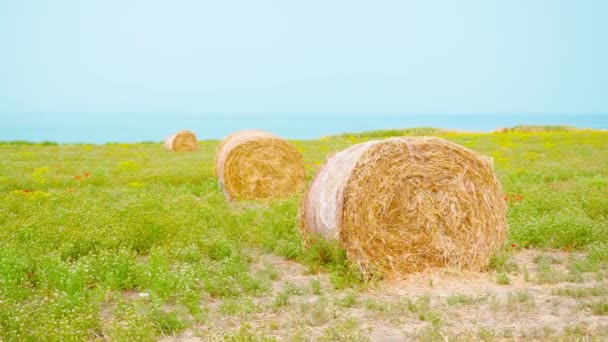 Heuhaufen auf dem grünen Rasen am Meer — Stockvideo