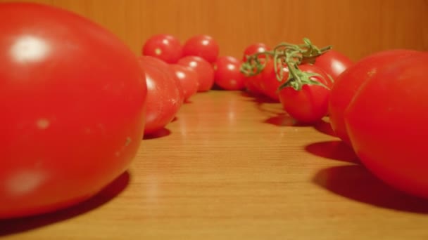 Movimiento entre tomates rojos sobre la mesa — Vídeos de Stock