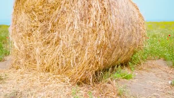 Haystack med hö på det gröna fältet framför havet — Stockvideo