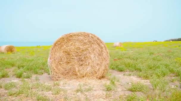 Haystack on the green field in front of the blue sea — Stock Video