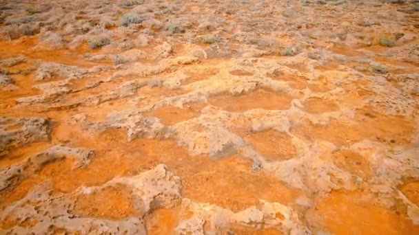 Yellow coral fossils on dry ground — Stock Video