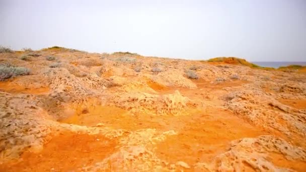 Barriera corallina fossile gialla di fronte al mare — Video Stock