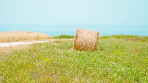 Szénaboglya a zöld mezőn a tenger előtt — Stock videók