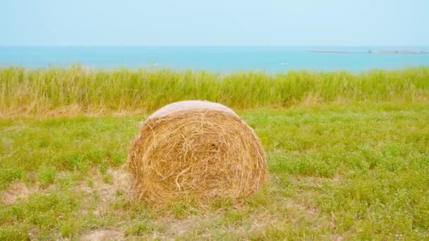 Gele hooiberg voor de oceaan — Stockvideo