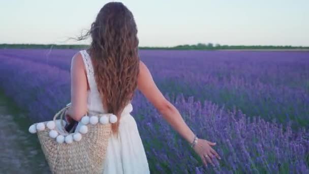 Meisje raakt lavendel bloemen met haar hand — Stockvideo