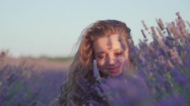 Chica joven entre las plantas de lavanda — Vídeos de Stock