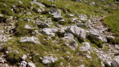 Kayalık dağdaki yeşil çimlerin arasındaki kayalar