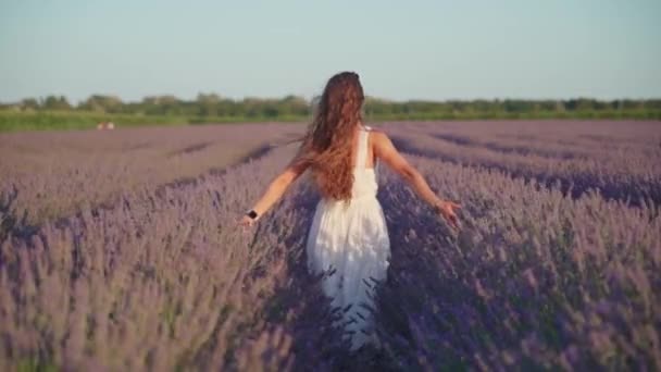 Vrouw loopt in slow motion op het lavendelveld — Stockvideo
