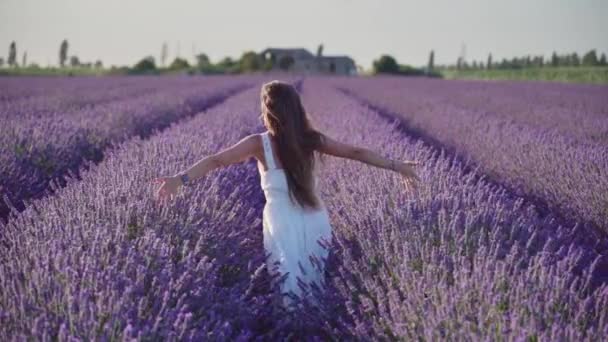 Menina com os braços abertos em câmera lenta entre lavanda roxa — Vídeo de Stock