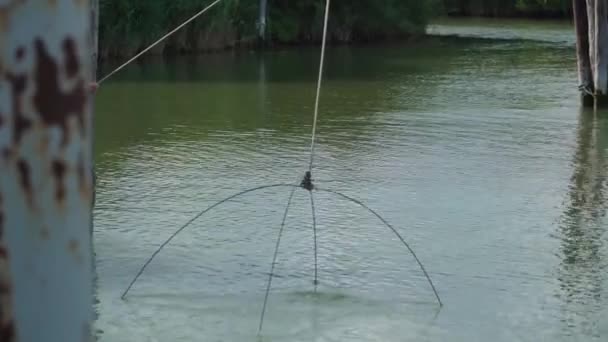 Jaring ikan ditarik keluar dari air — Stok Video