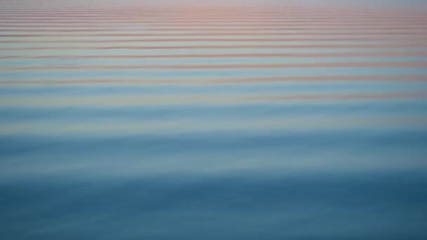 Superficie del agua al atardecer con pequeñas olas — Vídeos de Stock