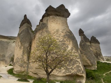 Türkiye'de Kapadokya güzel kaya oluşumu