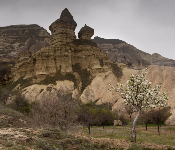 Hermosa formación rocosa en capadocia en pavo —  Fotos de Stock