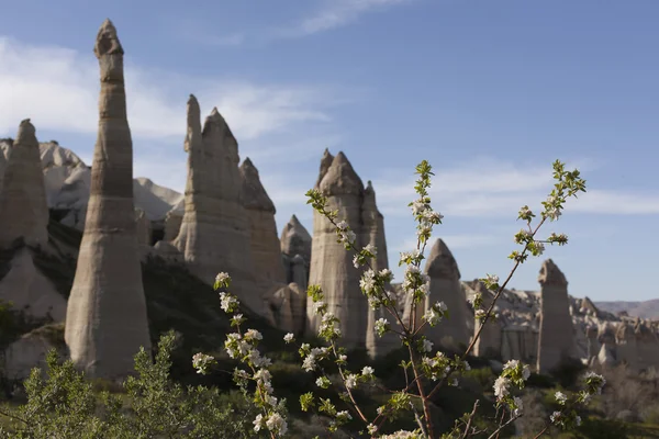 Belle formation rocheuse en cappadoce en dinde — Photo