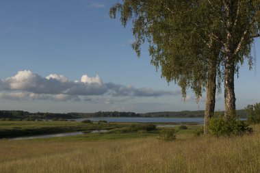 Doğal manzara tarihsel bir yerde. Pskov, Rusya ile kanlı Pushkinskiye.