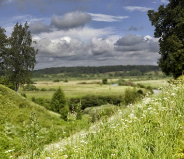 Doğal manzara tarihsel bir yerde. Pskov, Rusya ile kanlı Pushkinskiye.