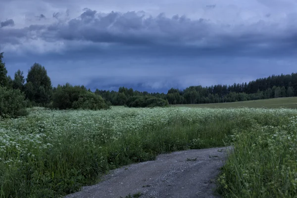Természeti tájak, történelmi helyen. Pushkinskiye véres, Pskov, Oroszország. — Stock Fotó