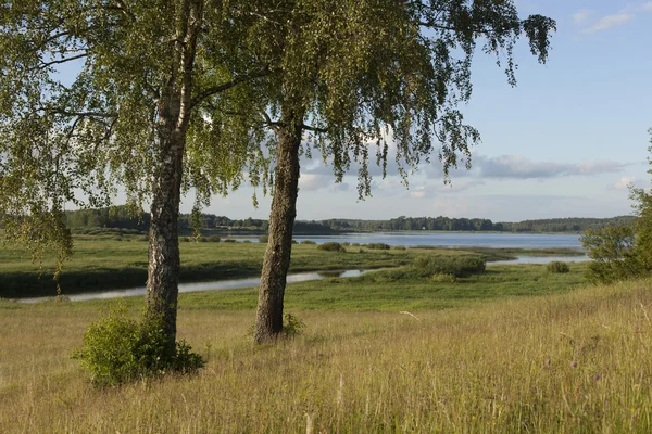 Természeti tájak, történelmi helyen. Pushkinskiye véres, Pskov, Oroszország. — Stock Fotó