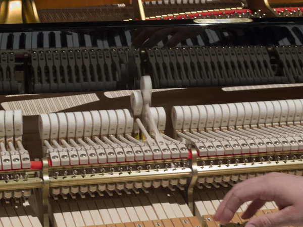 Homem melodia um piano — Fotografia de Stock