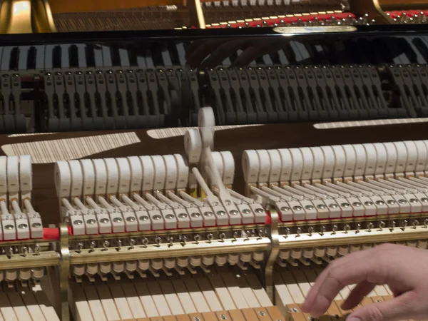 Muž melodie piano — Stock fotografie