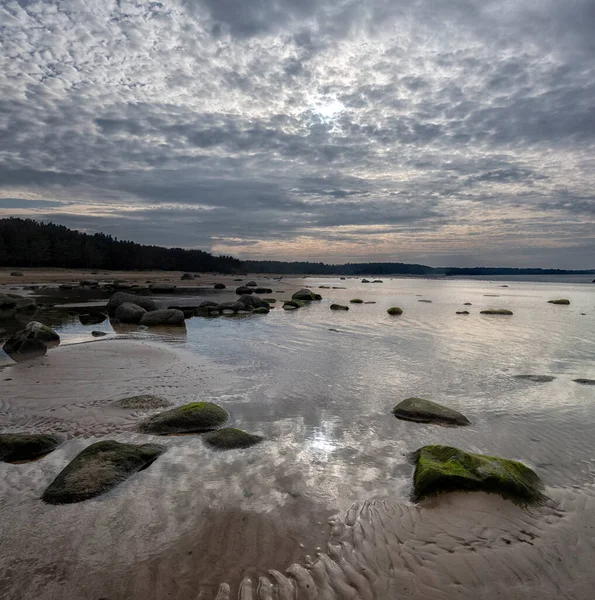 Hermosa Vista Costa Del Golfo Finlandia Los Suburbios San Petersburgo — Foto de Stock