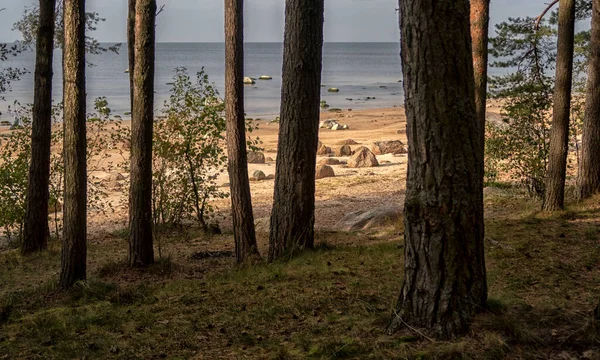 Bela Vista Costa Golfo Finlândia Nos Subúrbios São Petersburgo — Fotografia de Stock