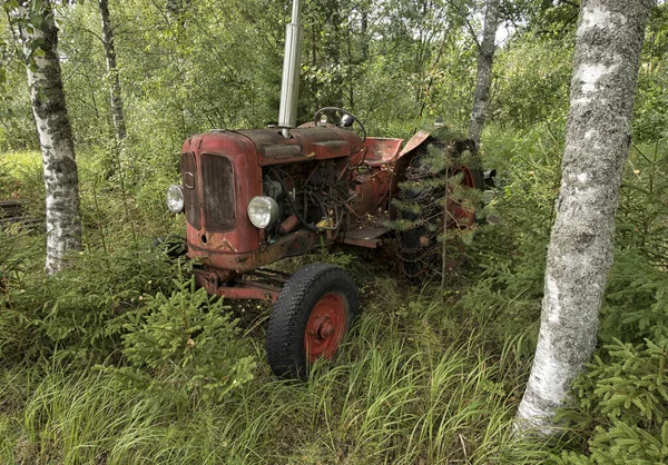 En rostig gammal kasserad traktor i skogen. — Stockfoto