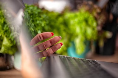 Bir kadının elleri dizüstü bilgisayarda klavyede yazarken iç ve yan görünümde.